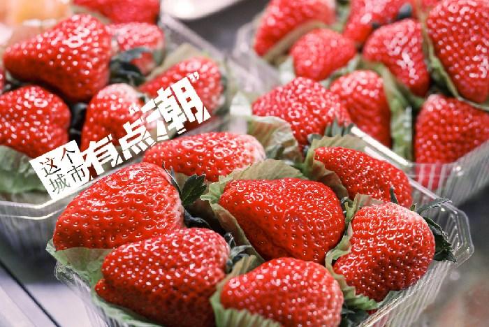 丹東：這一口鮮甜，開啟冬日“莓”好時光