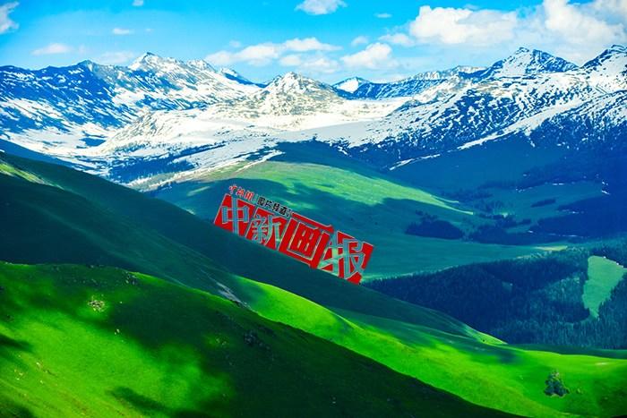 將夏天的“綠” 裝進(jìn)屏幕里，一組護(hù)眼壁紙請(qǐng)查收！