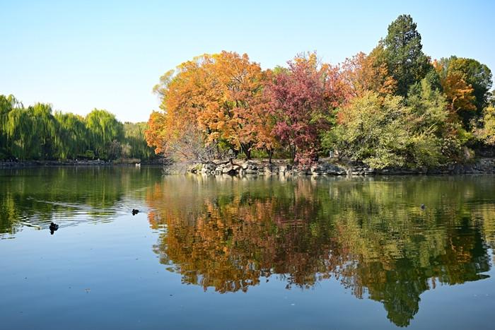 深秋的北大未名湖風(fēng)景如畫(huà)