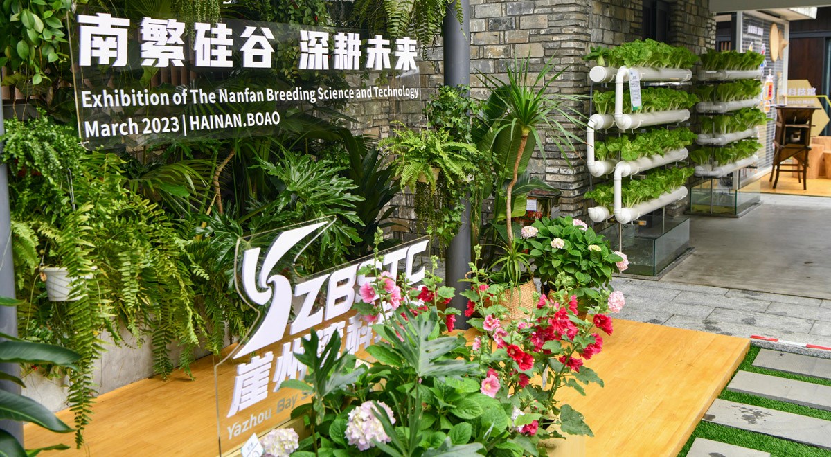 三亞攜南繁果實(shí)、深海利器亮相博鰲亞洲論壇年會(huì)