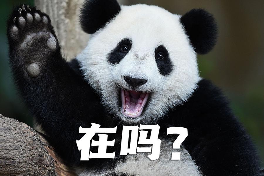 【世界微笑日特刊】嘿嘿，今天你笑了嗎？